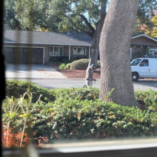 カリフォルニアのばあさんブログ