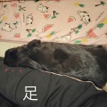 ー ラブラブ ー