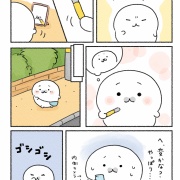 しろちゃんのイメチェン？