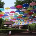 2025城町アンブレラスカイを撮ってきました☂️📸（館林市）