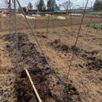 ブッチャケ(ぶっ鮭）日記