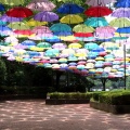 2025城町アンブレラスカイを撮ってきました☂️📸（館林市）