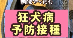 ポコちゃん初受診。