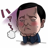 『参政党が流したデマ』の画像