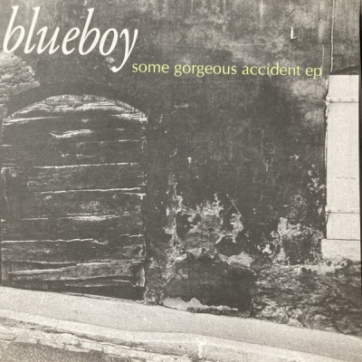 VINCENT GALLO / Buffalo 66 サントラ限定再発LP 極少入荷