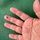 蜘蛛の糸は垂らされないか？