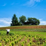 パラノーマルちゃんねる | 2ch怖い話まとめ