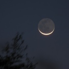 『2024年8月の天文現象～水平月・土星・スピカ食　2024/08/01』の画像