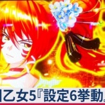 亮磁極回胴夫婦記