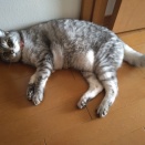 歳と共に遺伝は意識せなアカン？