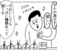 いい香りのルームフレグランス