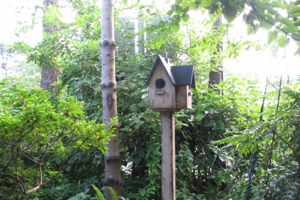 Disney S Secret 更新終了 12年03月