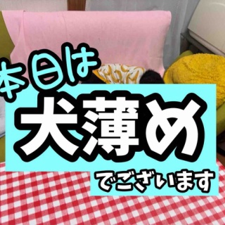 メルロコ一家の横須賀ストーリー