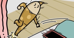 最近、寝ぼけすぎている