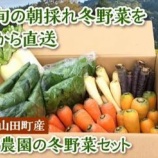 『いわき農園の冬野菜セット ふるさと特産品』の画像