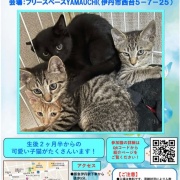 本日休業