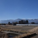 春の訪れ（1）―畦焼き（上）［374回］