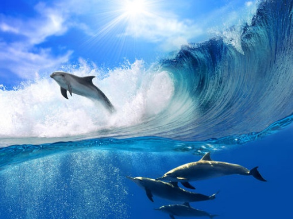 【祝】3カ月で利益794万円！人生あきらめない「相場の損は必ず相場で取り戻せる」。アズウェルスノウさんに学ぶ、リピート投資で毎月200～300万円を稼ぐ方法。