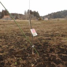 260312『区画D⑤のジェネバで。』