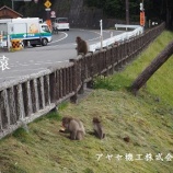 『【在庫】日進工具㈱アルミ専用エンドミルAL2D(2倍刃長タイプ)　【切削工具】』の画像