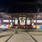 たぬきパラダイス