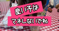 あかんとは思いながら…