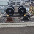 えちごトキめき鉄道妙高はねうまライン二本木駅訪問Part8／令和7年4月1日訪問