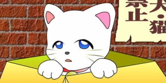 うちの姉が姉旦那のことをペットだと思ってた。無職で家のことも全然しない上に嫁いびりする姑まで付いてるヒモなんて離婚すればいいのにと思ってたけど姉は…