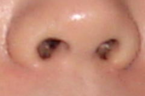 ひそやかな愉しみ 鼻毛