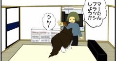 【猫との暮らし】嗅ぎつけられた飼い主(私)