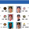明日の予告先発ｗｗｗｗｗｗｗｗ