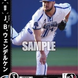 『DeNA、外国人選手事情 投手の競争が』の画像