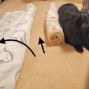 ふたりの棒さん