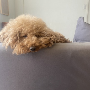 終わりよければすべてよし