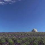 『頭大仏とモアイたち』の画像