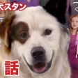 最近観て面白かったシットコム 3選