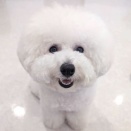 今日の幼稚園の様子🐶🌼