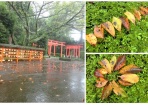 秋雨前線