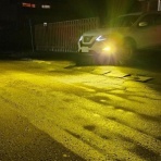 続？ さくら の のほほん道楽絵巻