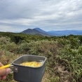 藤原製麺 本場北海道 えび塩ラーメン【ニセコ連峰 イワオヌプリ〜チセヌプリ〜ニトヌプリ】