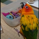 おもちゃ箱を必死で開ける