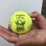 『迷子くん』の画像