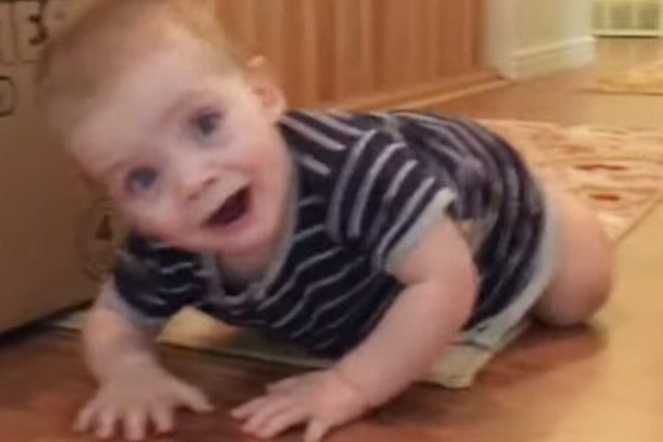 ネット動画研究所 面白動画