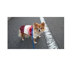 予定外のレモン