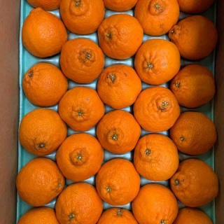 志津駅前　八百屋さん