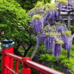 中杉　弘のブログ