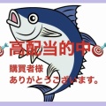 Ｆ１松戸初日特選５レース。