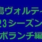 『徳島ヴォルティス2023年陣容 ボランチ編』の画像