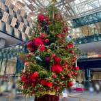 ながおか速報 -新潟県長岡市の地域情報サイト