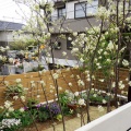 シンクロニシティー（原田邸 8）